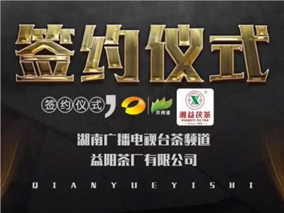 湘益茯，美茗揚(yáng) 丨湘益茯茶與茶頻道達(dá)成長期戰(zhàn)略合作