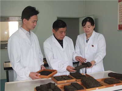 傳承茯茶非遺技藝、開拓創(chuàng)新引領行業(yè)發(fā)展