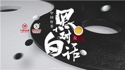 首屆黑白對話高峰論壇圓滿落幕！湘益茯茶備受關(guān)注！