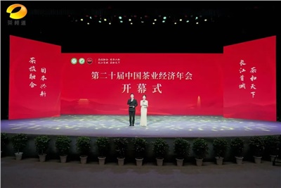 【聚焦第二十屆中國茶業(yè)經(jīng)濟年會】益陽茶廠榮獲“民族團(tuán)結(jié)互助企業(yè)”、“2024年度茶業(yè)重點企業(yè)”榮譽稱號